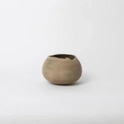 Tortoise-Hiroto Nakanishi Art*030 Hiroto Nakanishi Wood Sculpture
