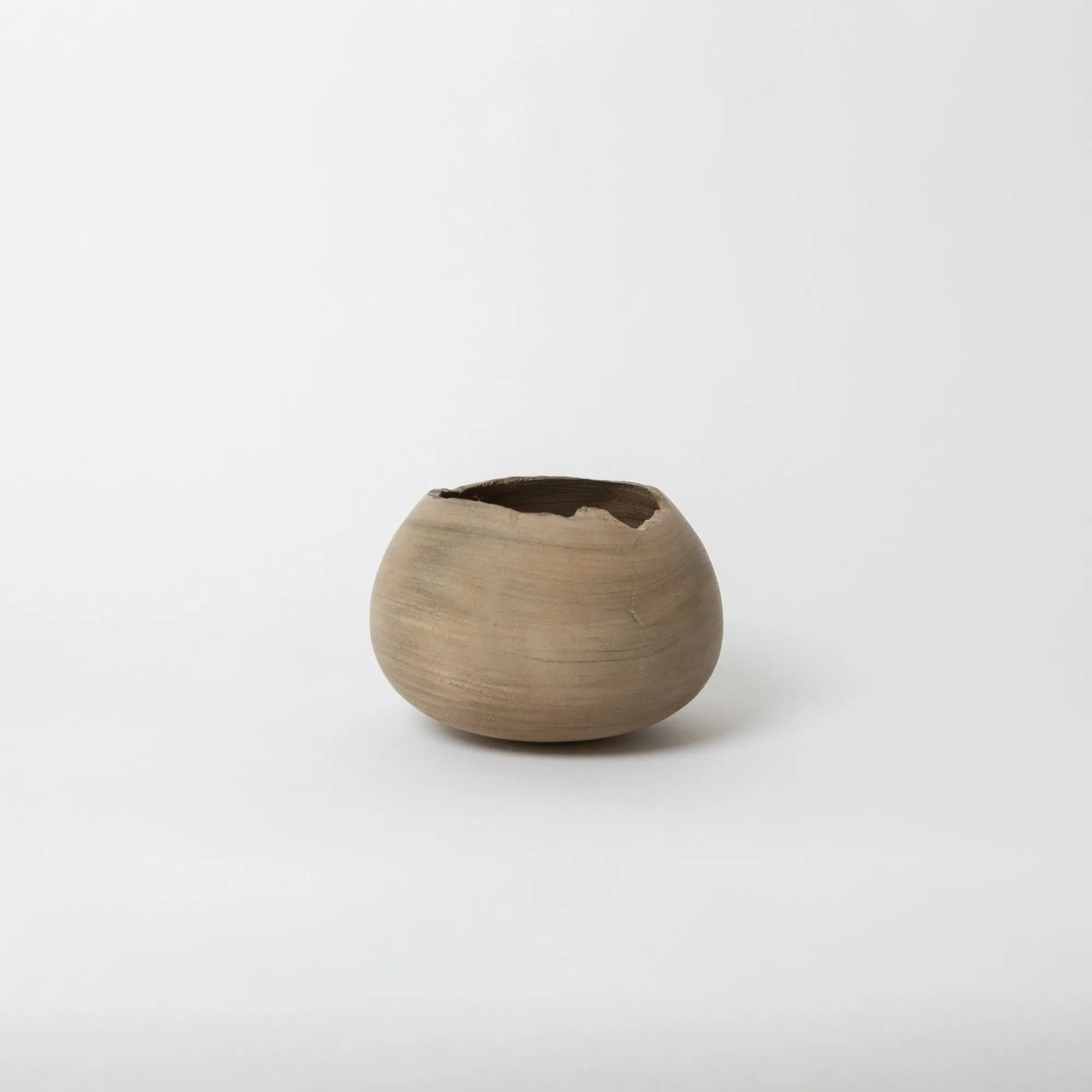 Tortoise-Hiroto Nakanishi Art*030 Hiroto Nakanishi Wood Sculpture