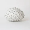 Tortoise-Masanobu Ando Art*014 Masanobu Ando Ceramic Sculpture