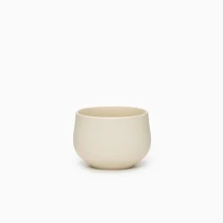 SAIKAI (Others) Drinking*Chanoma Ivory Tea Cup [4-543]