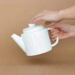 SAIKAI (Others) Drinking*Common Teapot