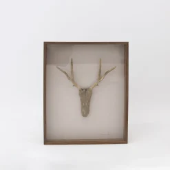 TORTOISE-Koga Art*Driftwood Hunting Trophy #3 (2024) By Mitsuru Koga
