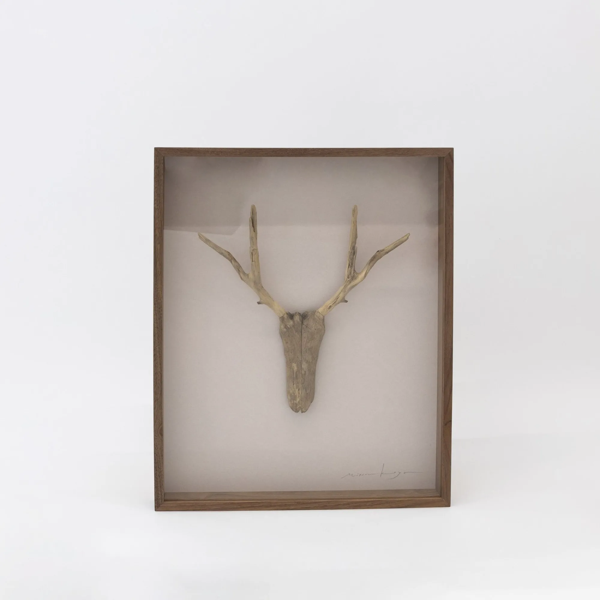 TORTOISE-Koga Art*Driftwood Hunting Trophy #3 (2024) By Mitsuru Koga