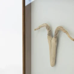 TORTOISE-Koga Art*Driftwood Hunting Trophy #5 (2024) By Mitsuru Koga