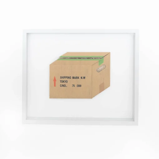 TORTOISE-Koga Art*Flatworks Box #1 (Dec 2022) By Mitsuru Koga