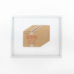 TORTOISE-Koga Art*Flatworks Box #3 (Dec 2022) By Mitsuru Koga