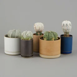 SAIKAI (Hasami) Outdoor*Hp045 - Planter Natural O 5.5/8