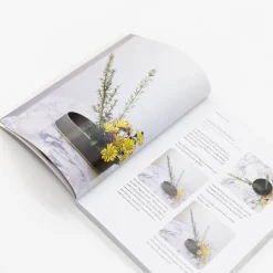 Naoko Zaima Books*Inspired Ikebana: Modern Design Meets The Ancient Art Of Japanese Flower Arrangement By