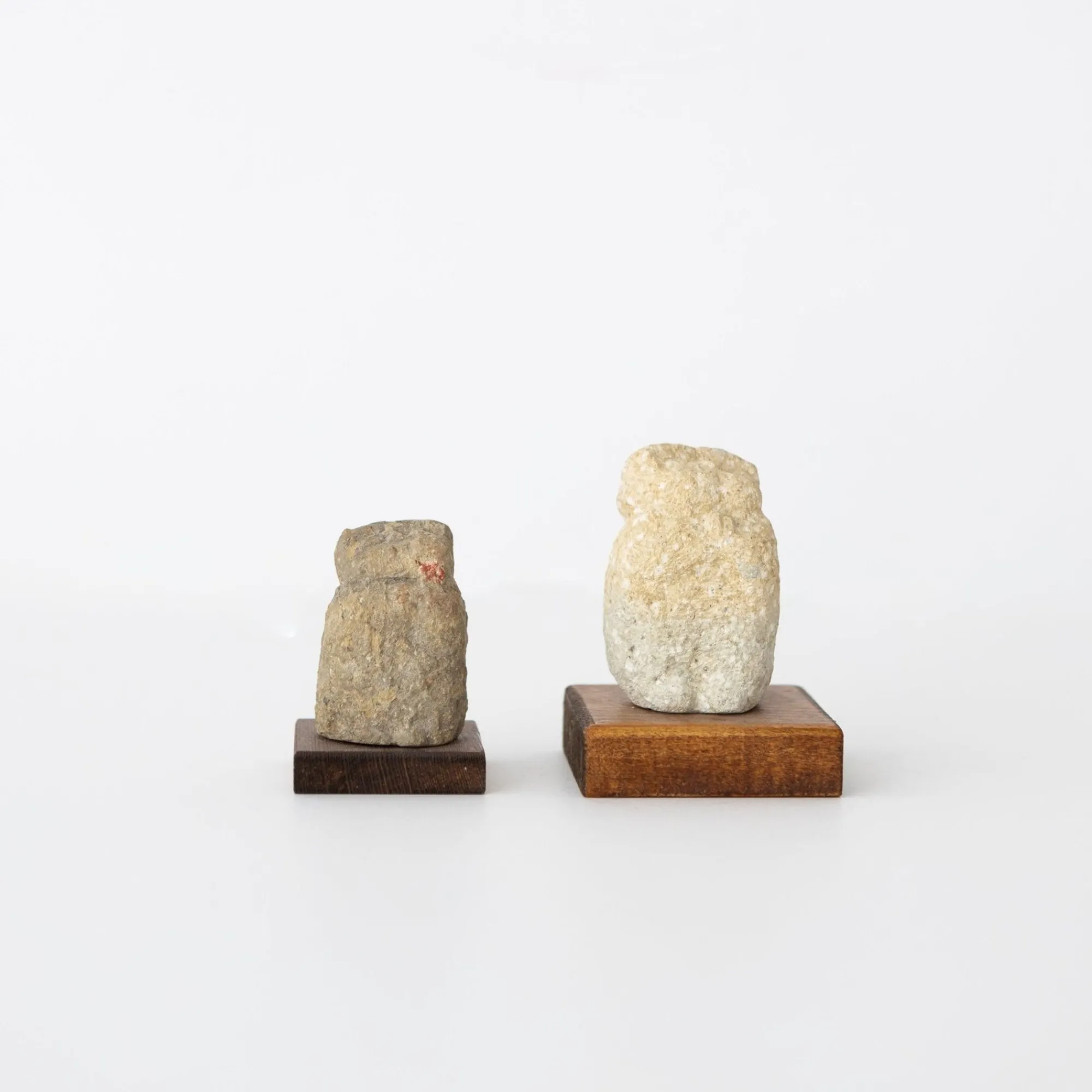 TORTOISE-yellow paper Art*Katsuyoshi Matsuzaki Stone Figures