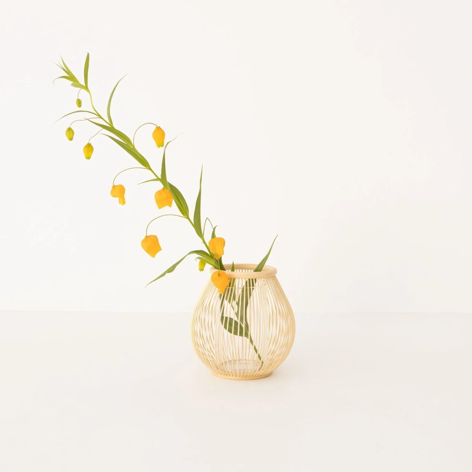 TORTOISE-yellow paper Kosuga Home Decor*Kosuga Bamboo Flower Vase - Tsubomi