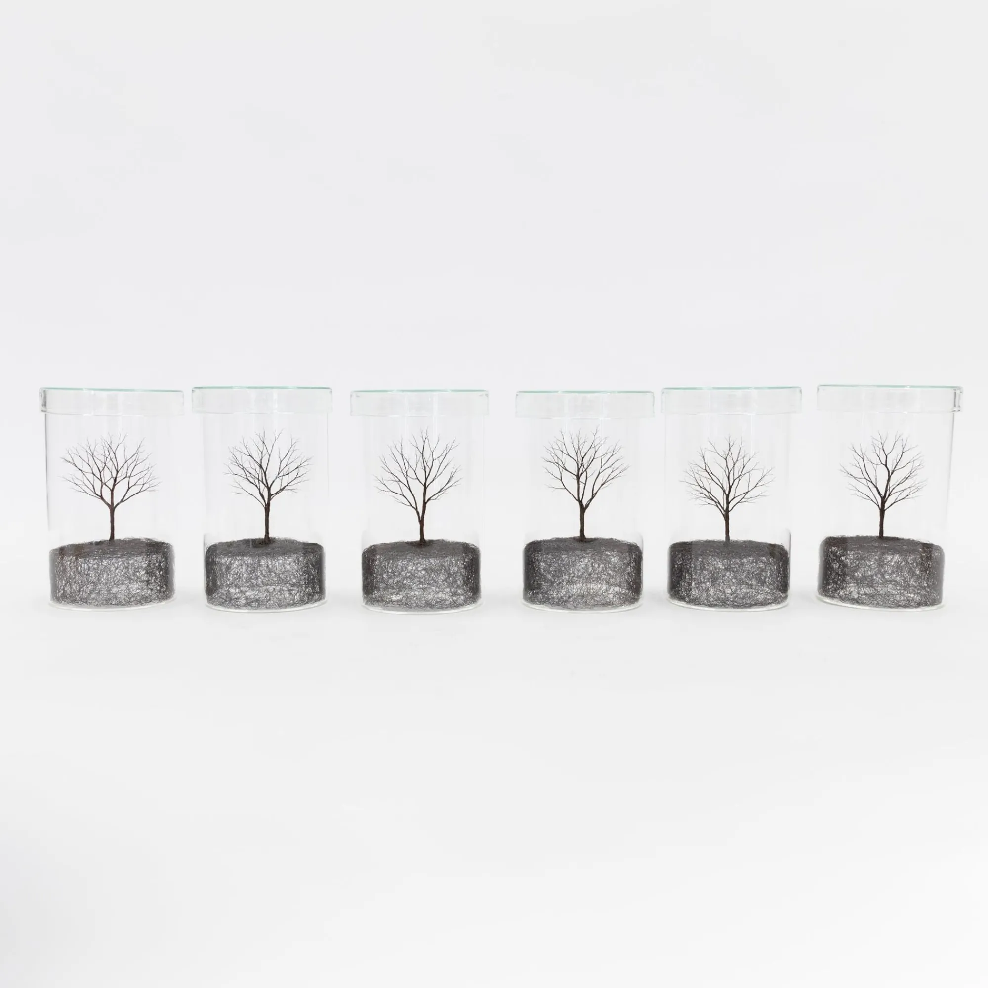 TORTOISE-Koga Art*Mitsuru Koga Copper Wire Trees #1 - #6, 2023