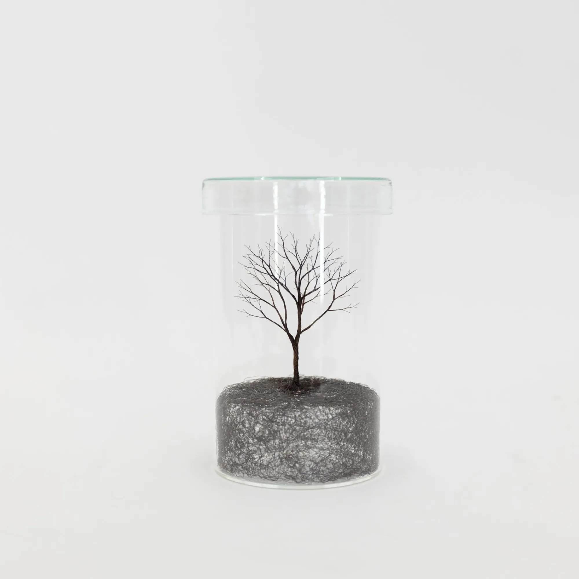 TORTOISE-Koga Art*Mitsuru Koga Copper Wire Trees #1 - #6, 2023
