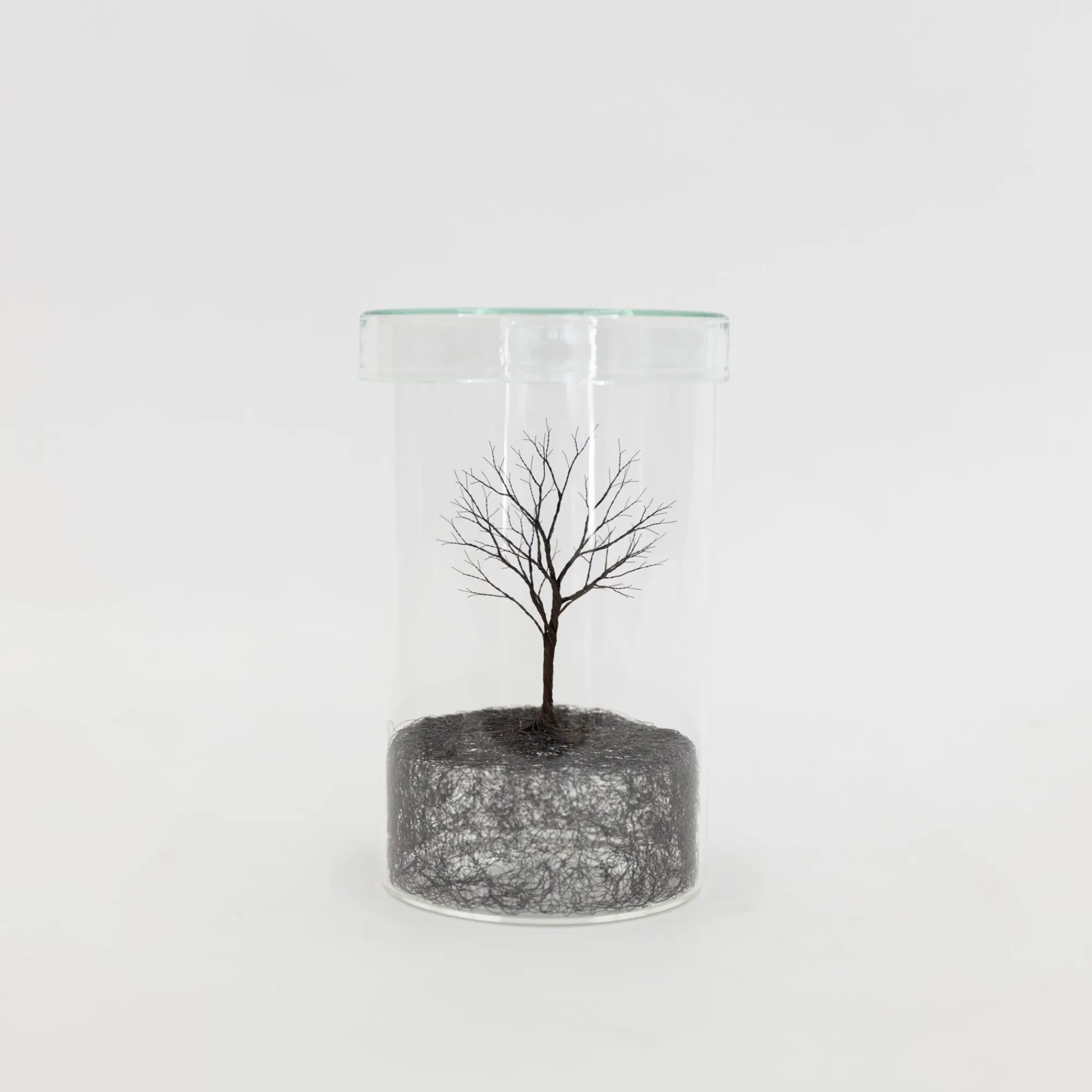 TORTOISE-Koga Art*Mitsuru Koga Copper Wire Trees #1 - #6, 2023