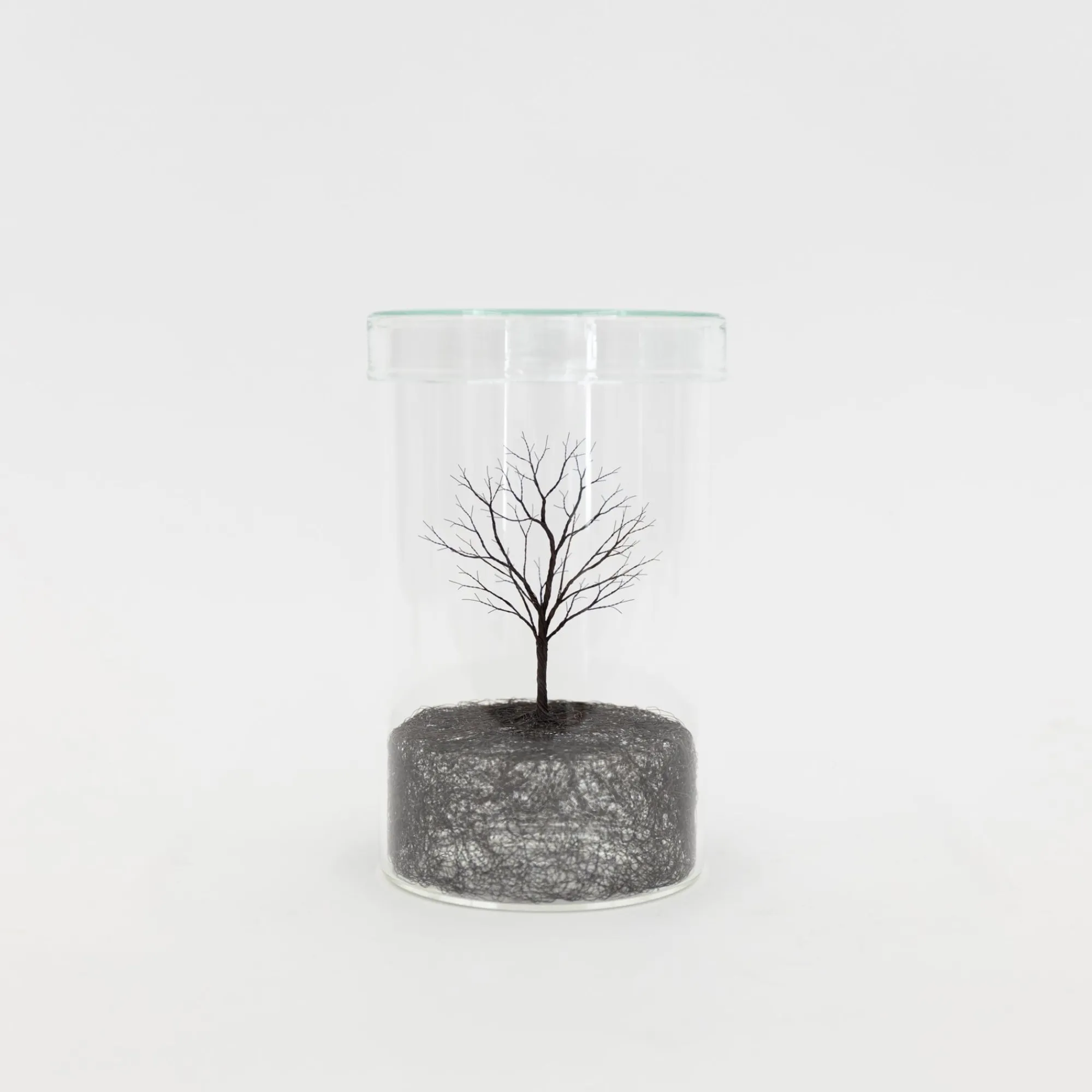 TORTOISE-Koga Art*Mitsuru Koga Copper Wire Trees #1 - #6, 2023
