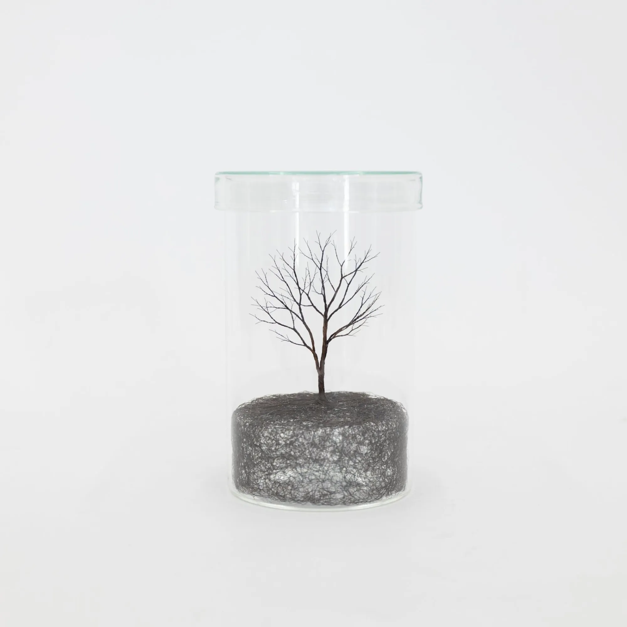 TORTOISE-Koga Art*Mitsuru Koga Copper Wire Trees #1 - #6, 2023