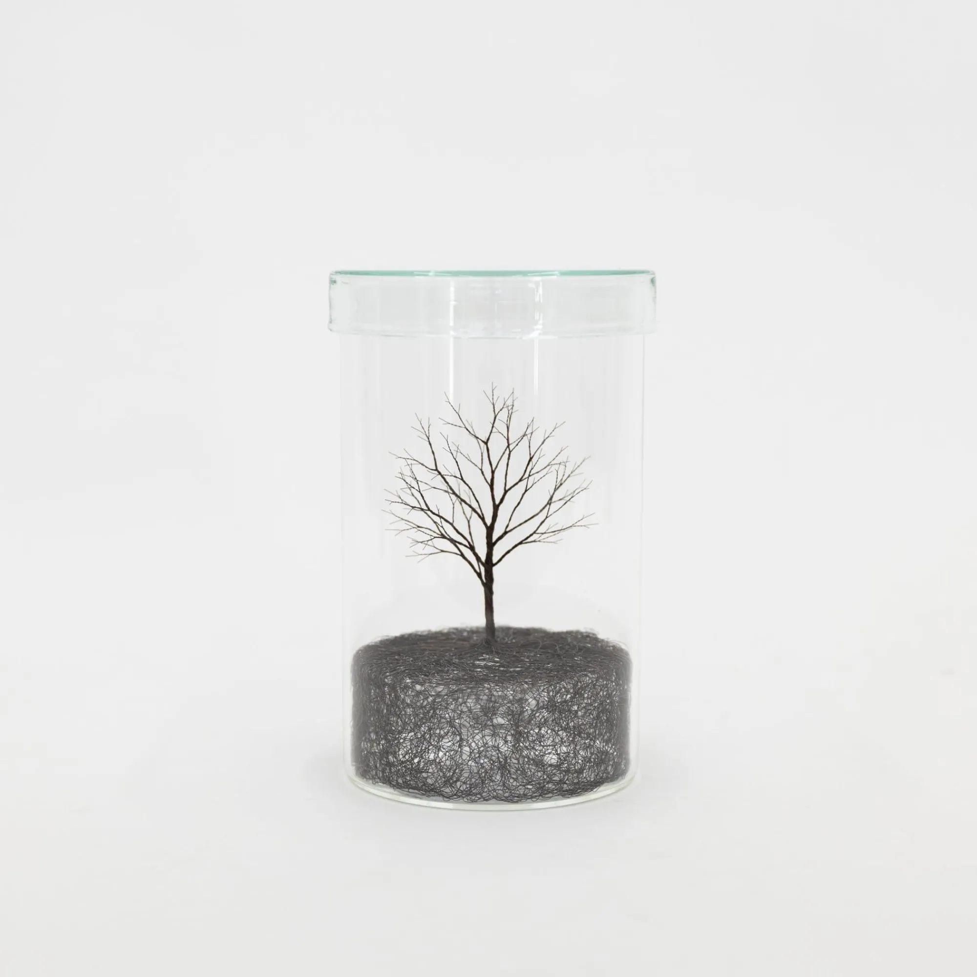 TORTOISE-Koga Art*Mitsuru Koga Copper Wire Trees #1 - #6, 2023