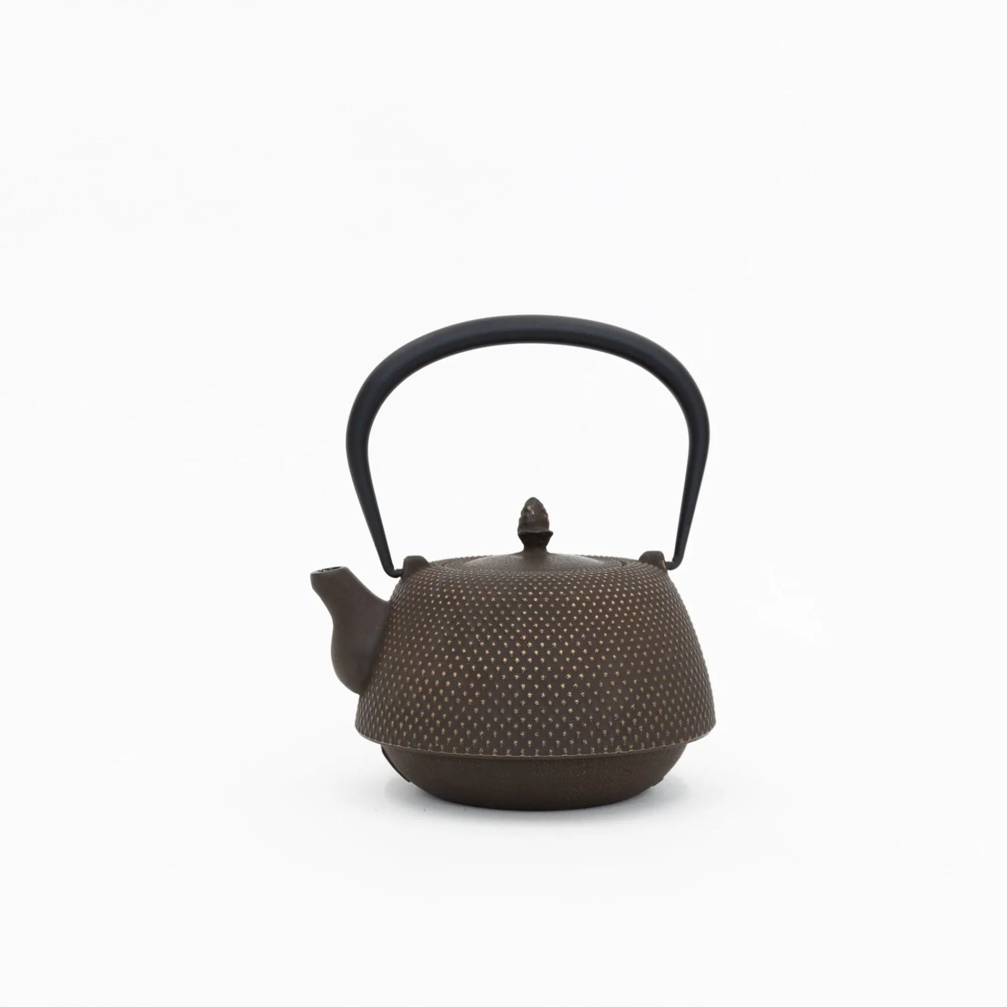 Miya Company Drinking*Nambu Tekki Cast Iron Teapot With Strainer - Arare