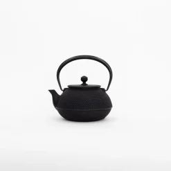 Miya Company Drinking*Nambu Tekki Cast Iron Teapot With Strainer - Arare