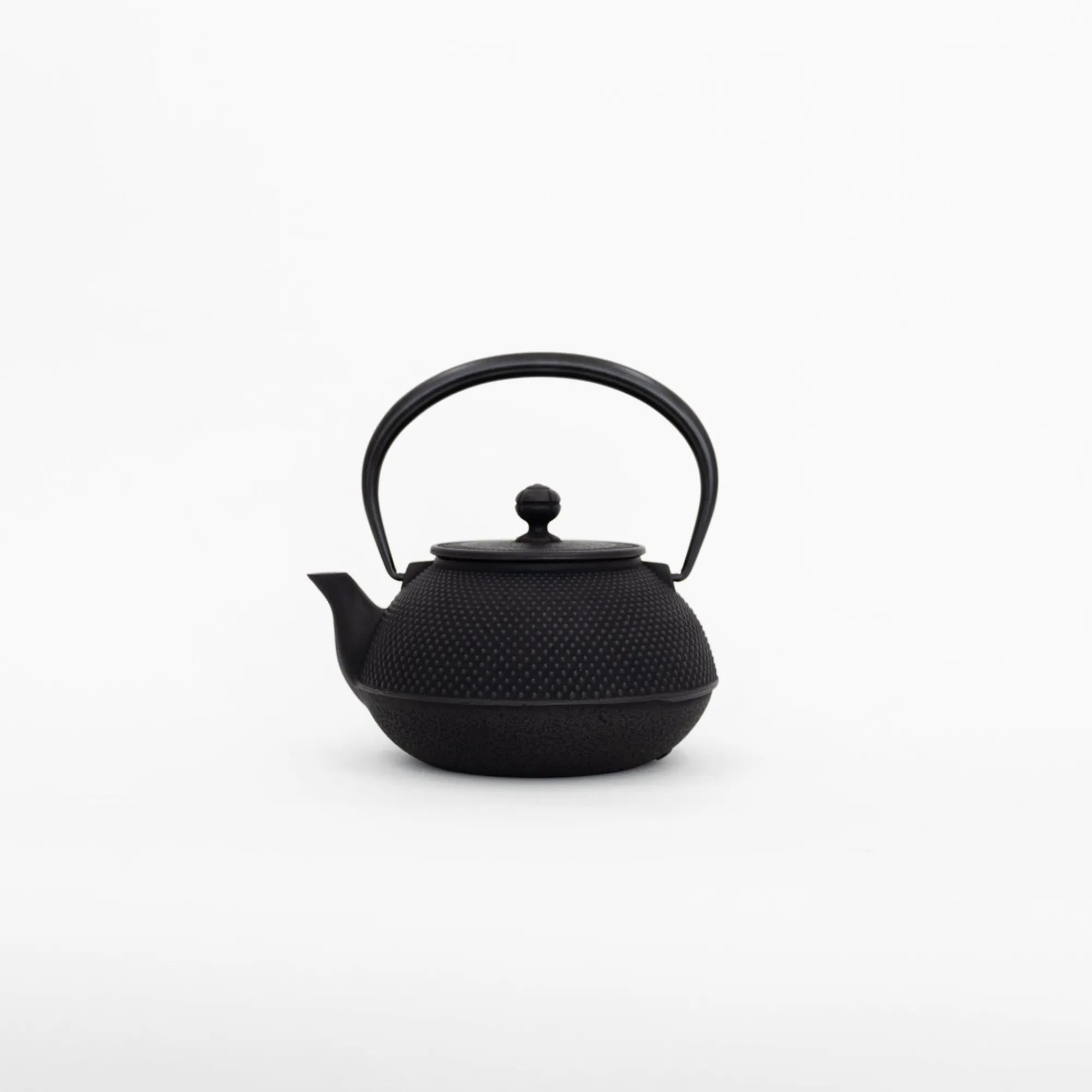 Miya Company Drinking*Nambu Tekki Cast Iron Teapot With Strainer - Arare