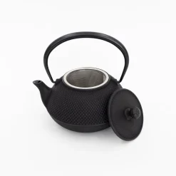 Miya Company Drinking*Nambu Tekki Cast Iron Teapot With Strainer - Arare