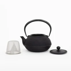 Miya Company Drinking*Nambu Tekki Cast Iron Teapot With Strainer - Arare