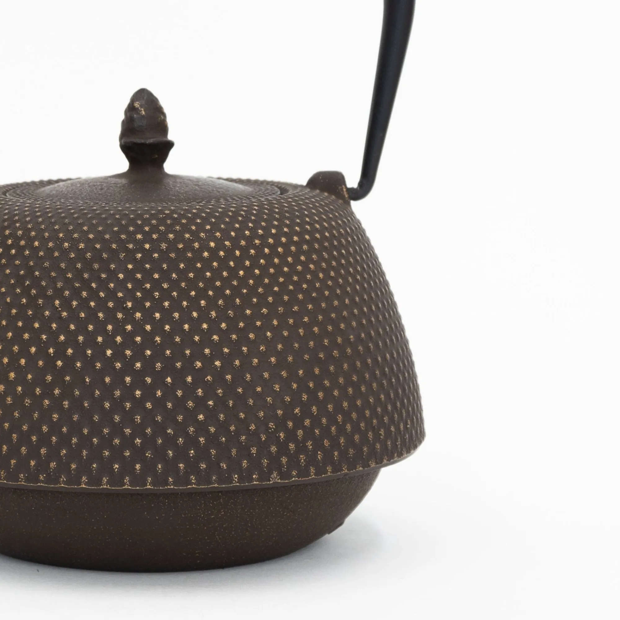 Miya Company Drinking*Nambu Tekki Cast Iron Teapot With Strainer - Arare