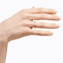 Tortoise-Shihara Jewelry*Shihara Bond Ring 03
