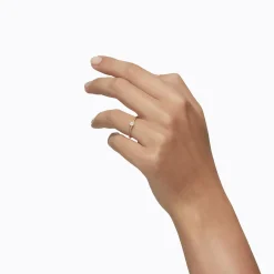 Tortoise-Shihara Jewelry*Shihara Classic Ring 04