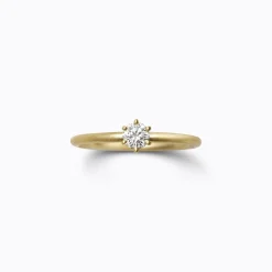 Tortoise-Shihara Jewelry*Shihara Classic Ring 02