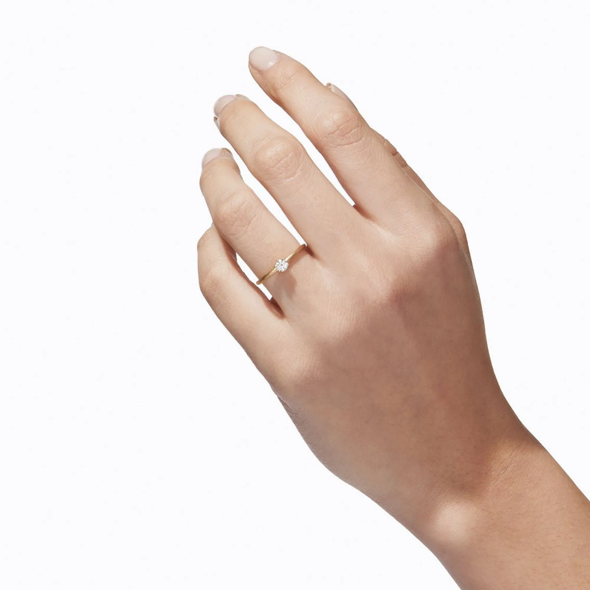 Tortoise-Shihara Jewelry*Shihara Classic Ring 02
