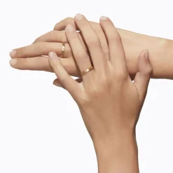 Tortoise-Shihara Jewelry*Shihara Flat Ring 30