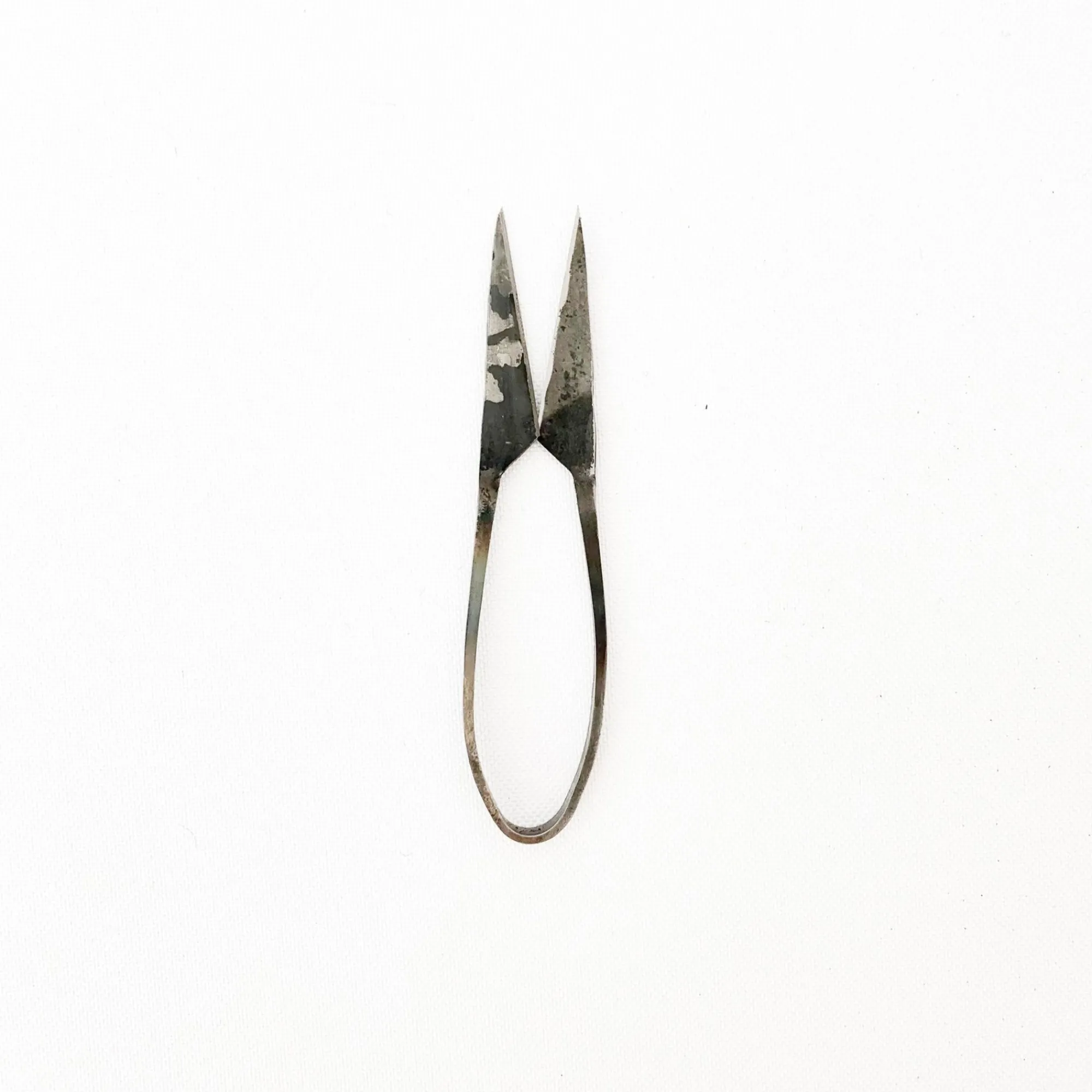 TORTOISE-yellow paper Tajika Outdoor*Tajika Herb Scissors